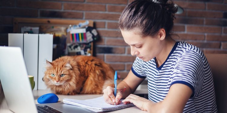 Home Office, virtuelles Arbeiten - wie geht es weiter?
